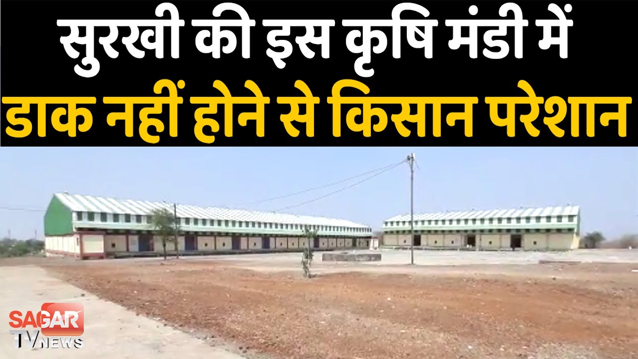 सागर-जैसीनगर कृषि उपज मंडी में डाक नहीं होने से किसान परेशान || SAGAR TV NEWS ||
