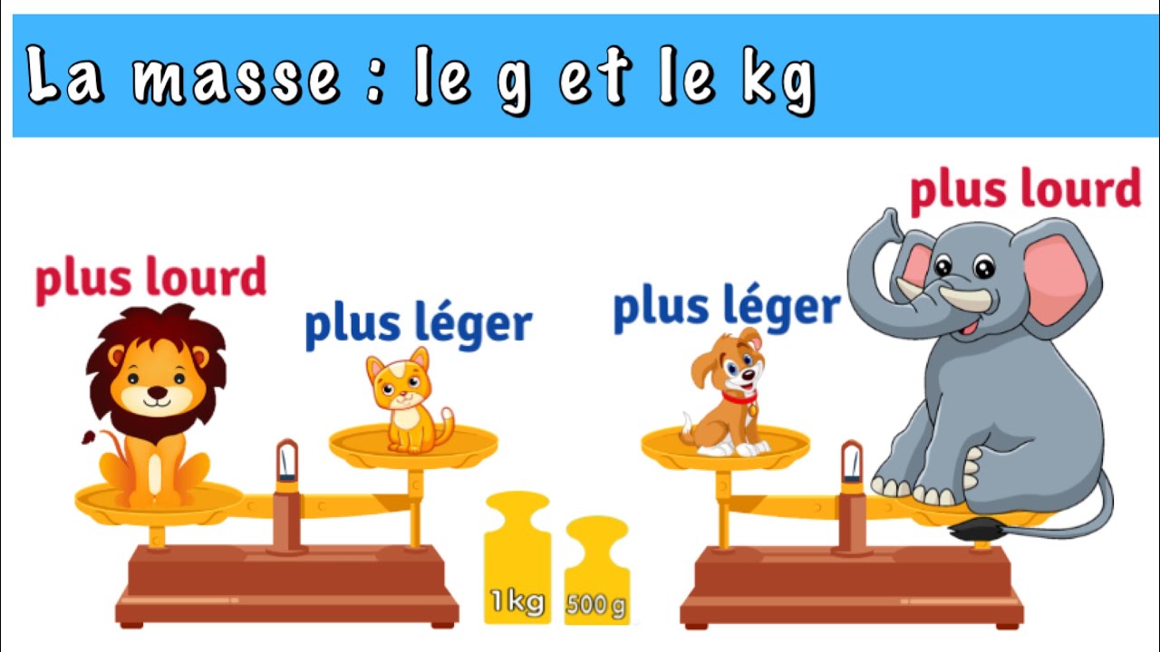 La masse : le g et le kg - CE2 CM1