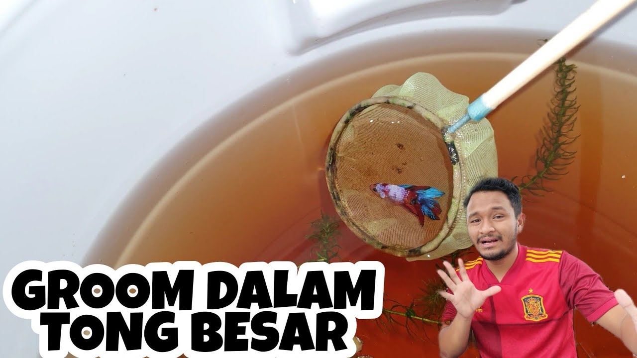 GROOM SAIZ DALAM TONG 30 LITER?