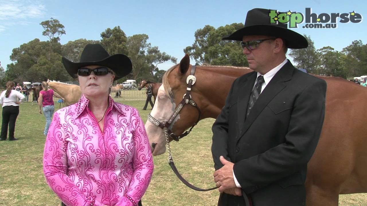 Top Horse TV - Paint Horses at the Royal Melbourne Horse Show 2012