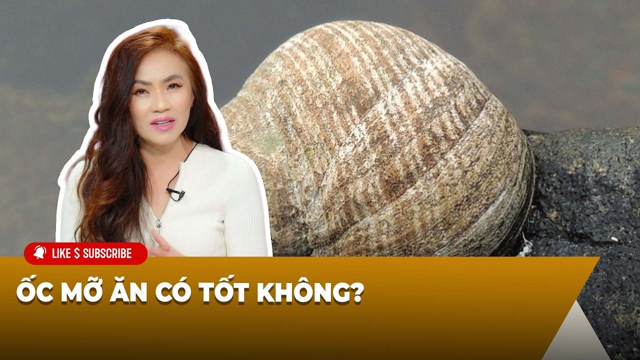 Cà Phê Sáng Cuối Tuần P3 (02-14-26) - Ốc Mỡ ăn có tốt không?