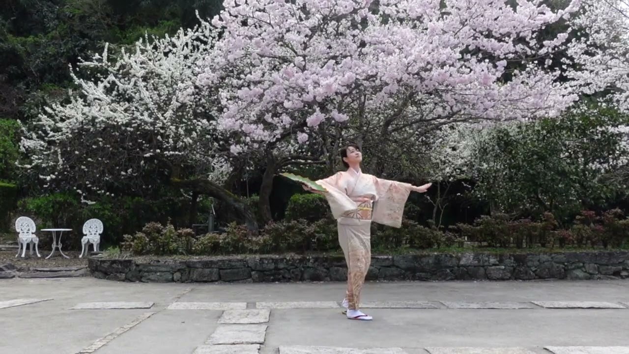 Dance in JAPAN - HANA - Let's enjoy spring!🌸