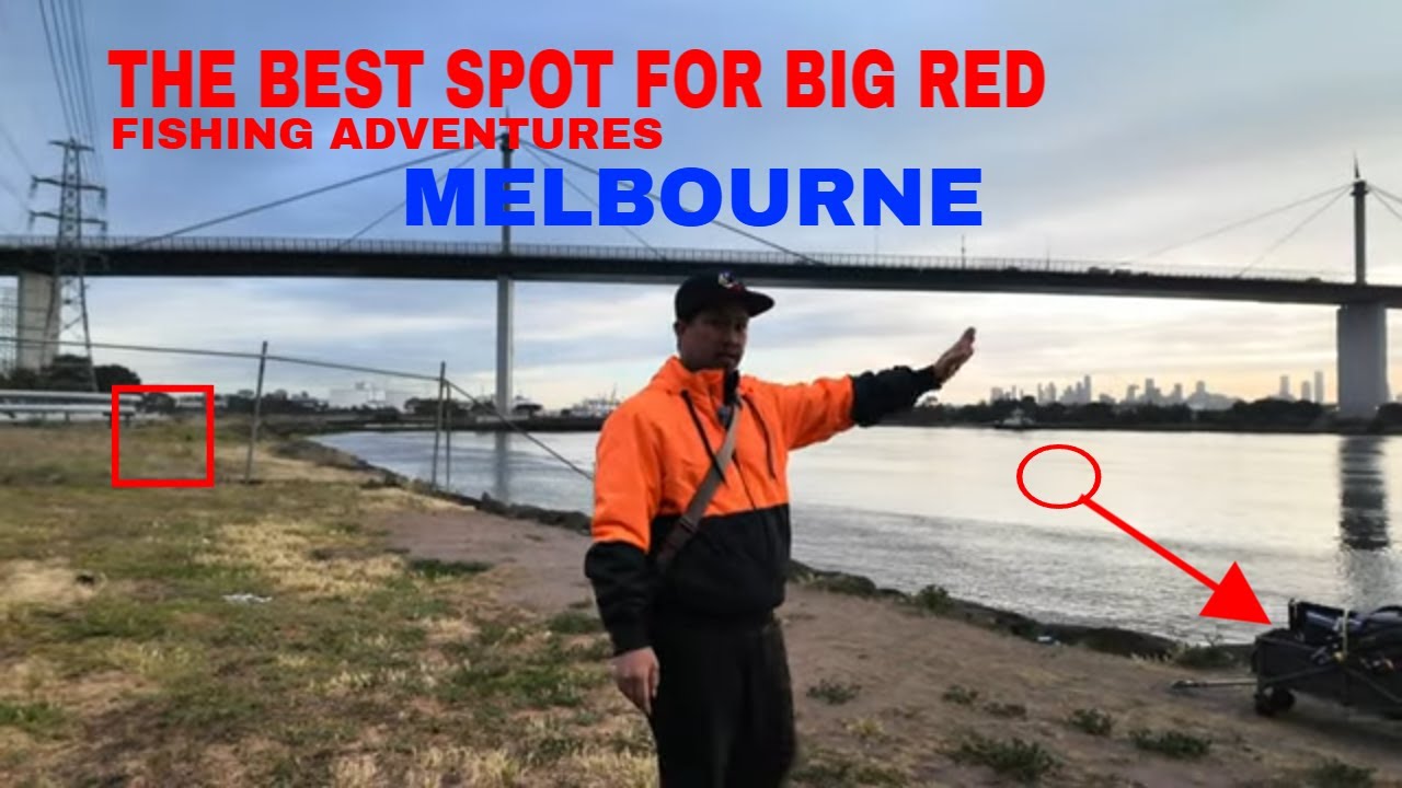 Fishing at west gate bridge Melbourne 