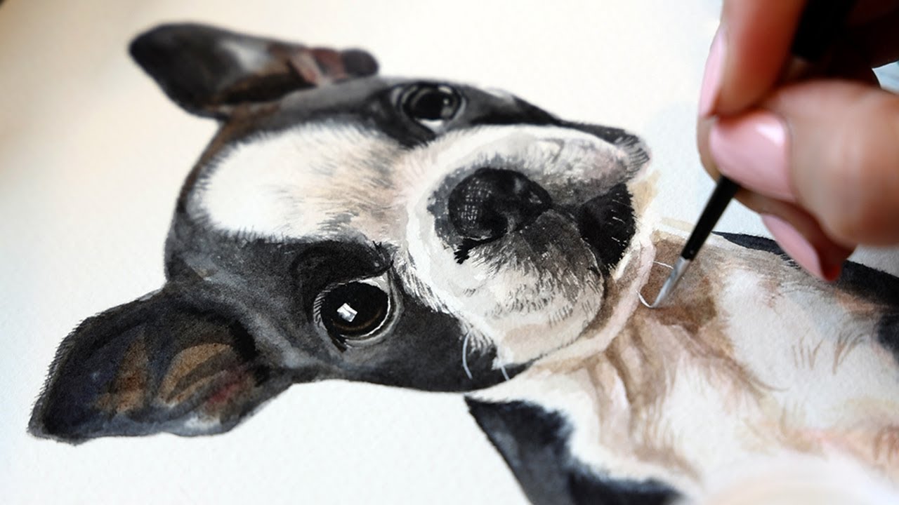 Watercolor Boston Terrier Dog Pet Portrait Painting Tutorial