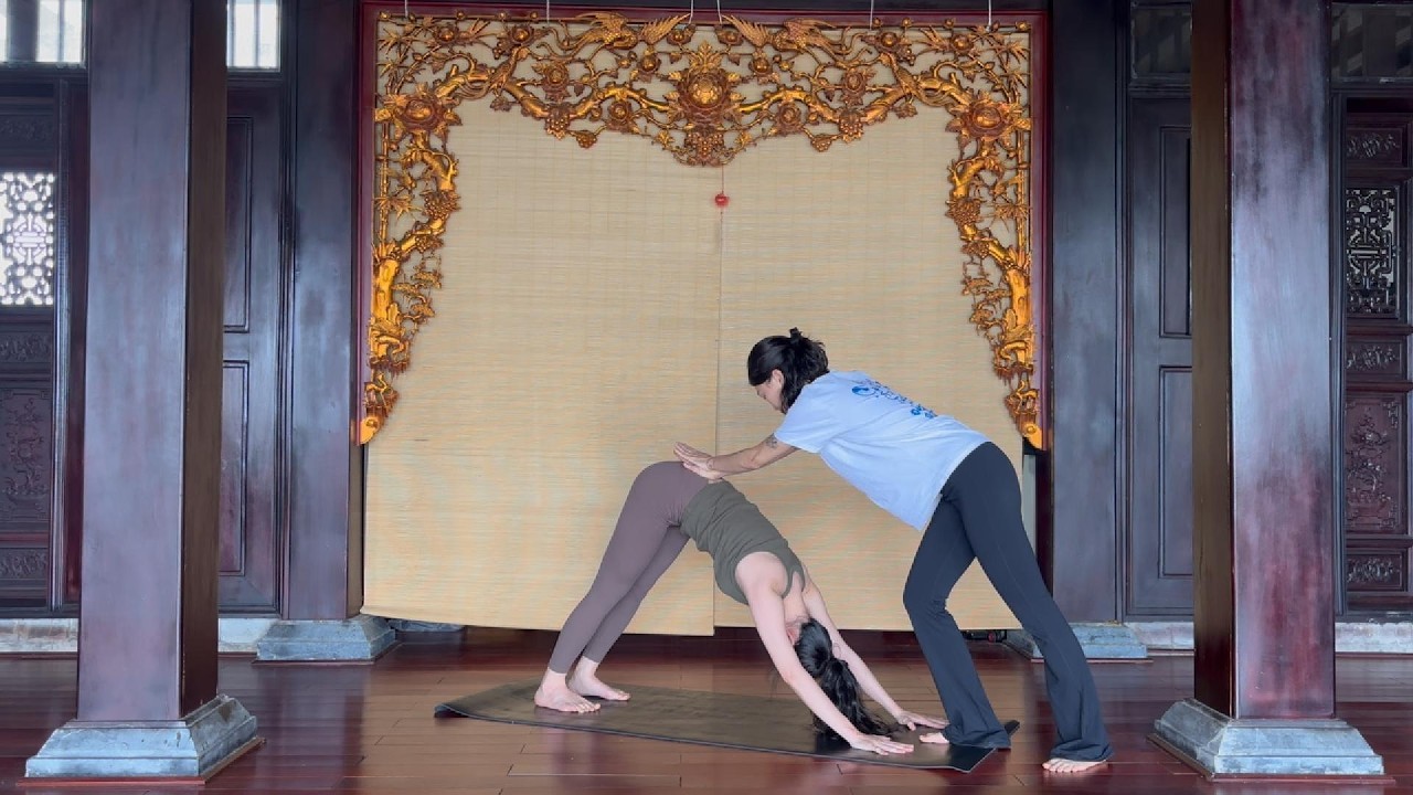Spiritual Warrior - Jivamukti Yoga (Tiếng Việt - Vietnamese)