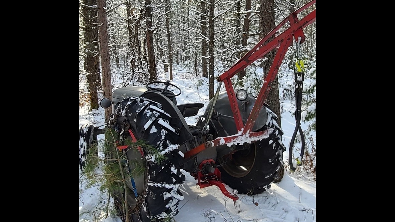Tractor forest ride down driveway #forest #tractor #snow