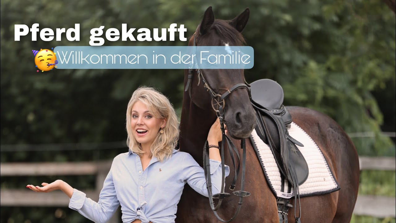 Neuzugang🥳 Dressurpferd probereiten #newhorse #neuigkeiten #dressurpferd #family