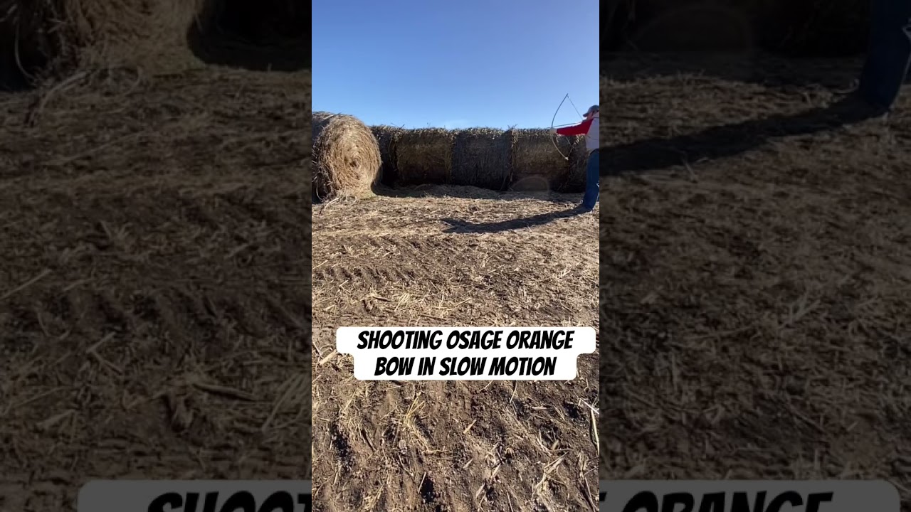 Shooting Osage orange self bow in slow motion. 