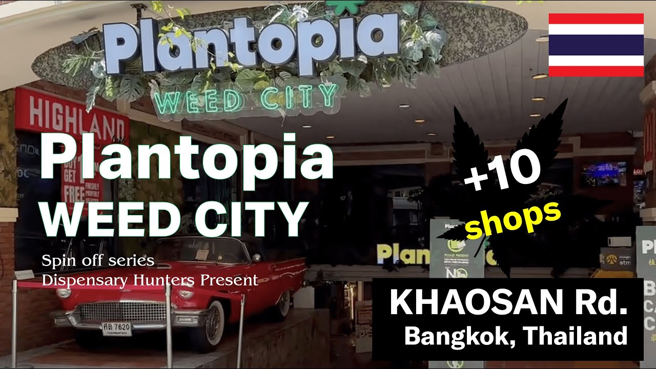 Must visit Place in Khaosan Rd. in Bangkok Thailand, Plantopia Weed City