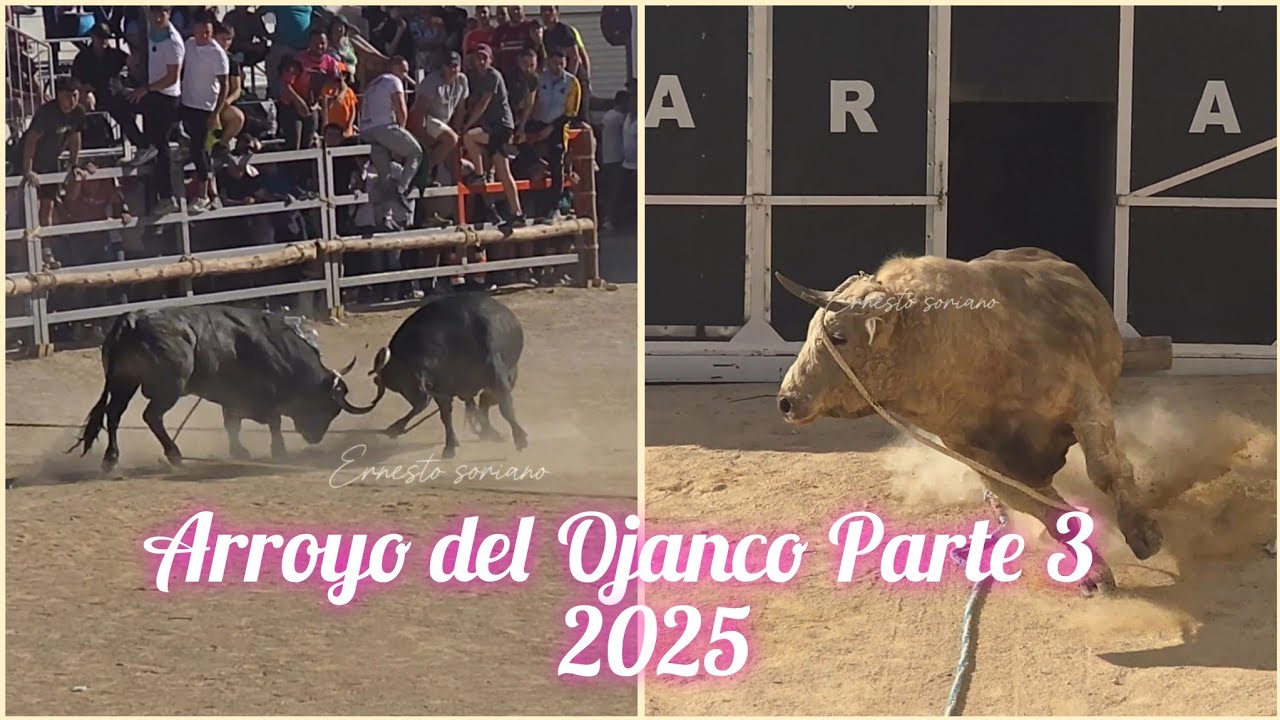 Arroyo del Ojanco 2025 parte 3 - 24 de Abril Fiestas de San Marcos