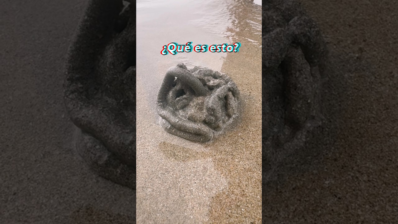 Playa llena de restos de gusano! 😱 #tailandia #gaelepico #gusanos