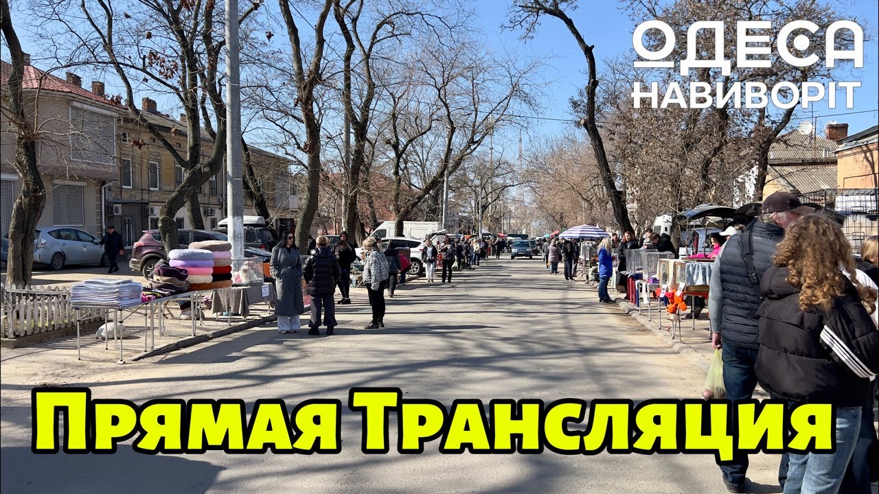Собачий Рынок ОДЕСА НАВИВОРІТ в прямом эфире!