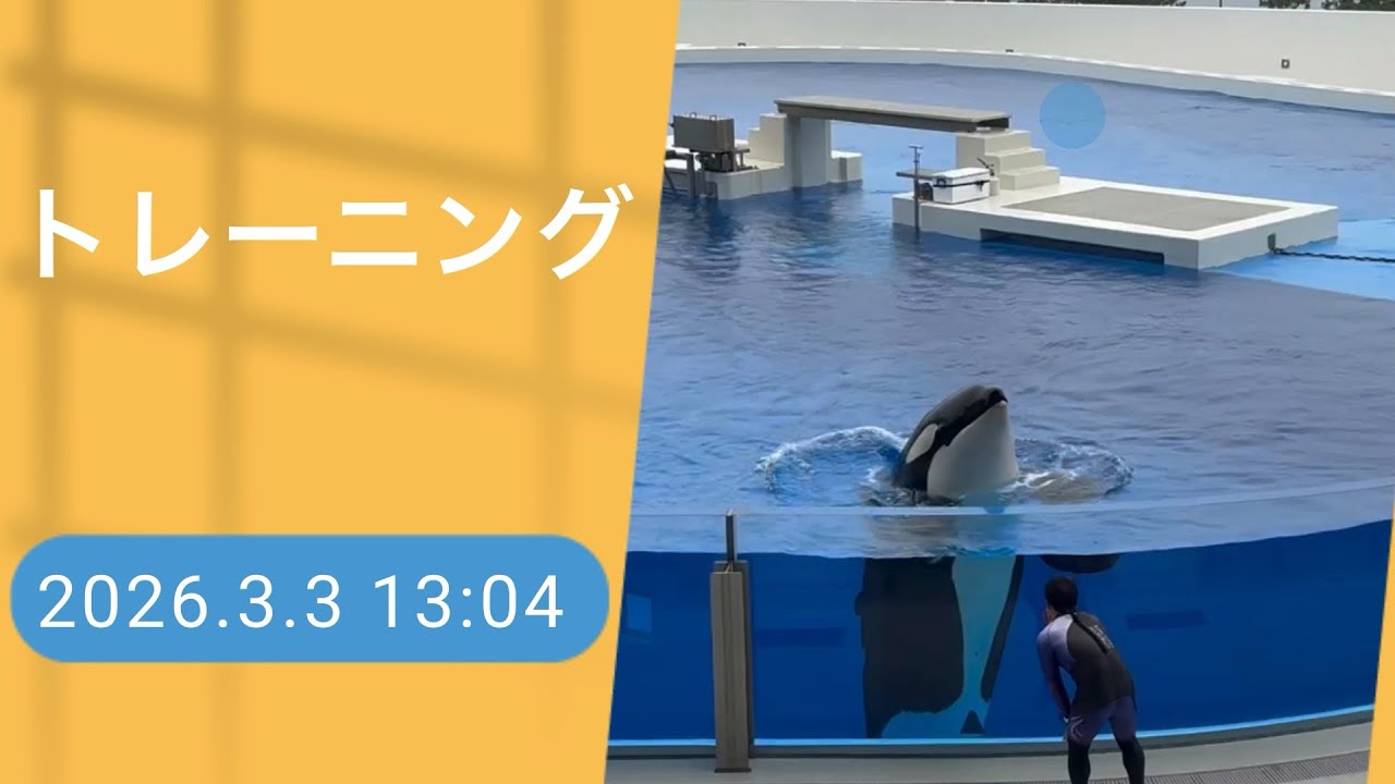 トレーニング　2026.3.3 13:04
