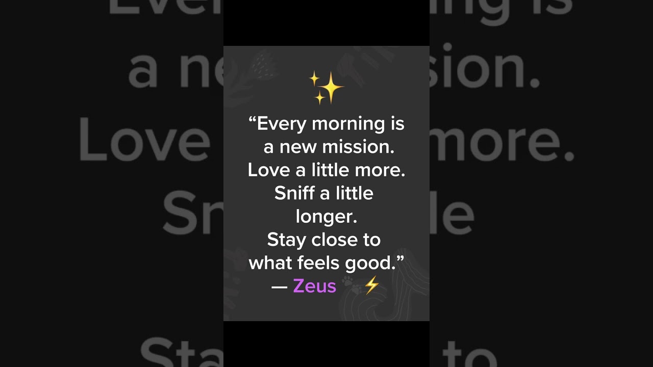 A New Day to Be a Good Dog 