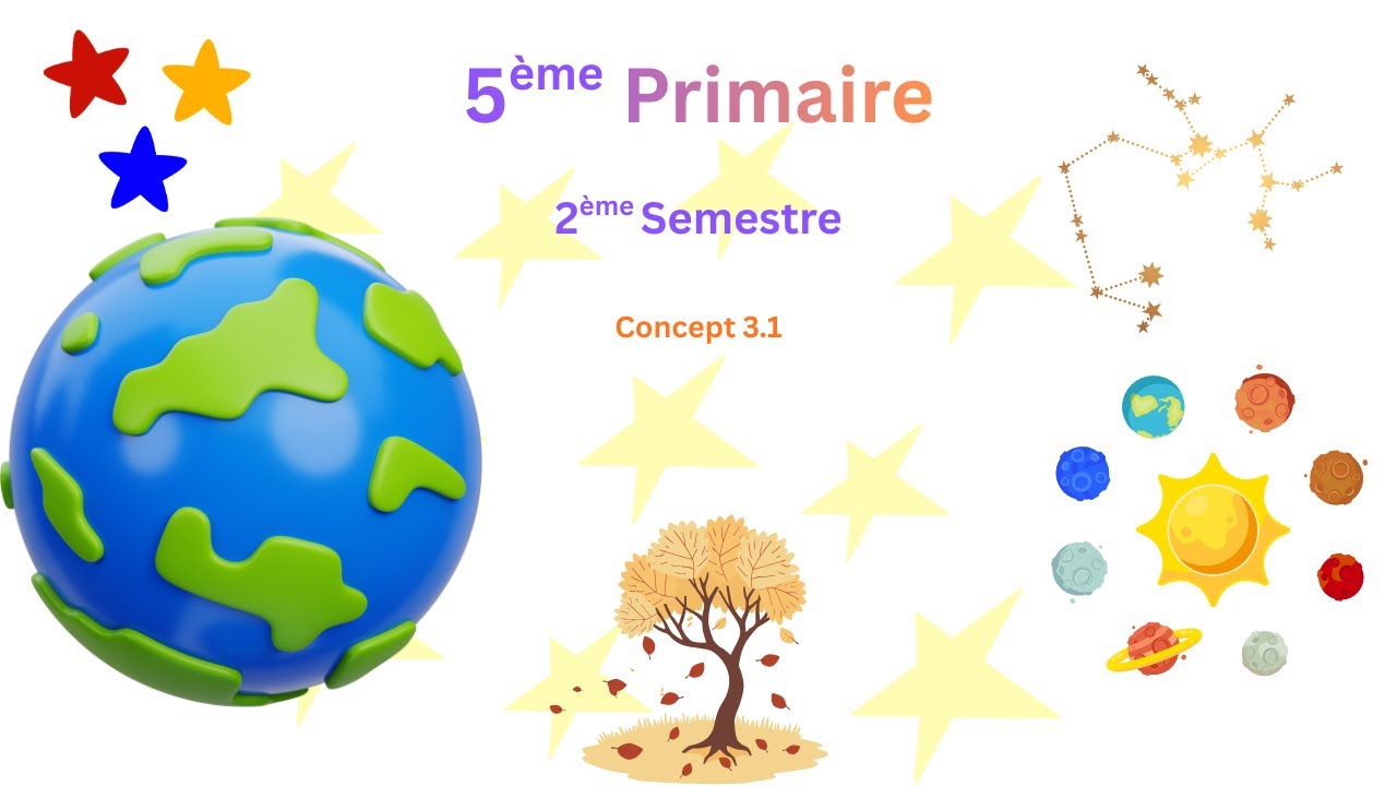 5ème Primaire | Concept 3.1
