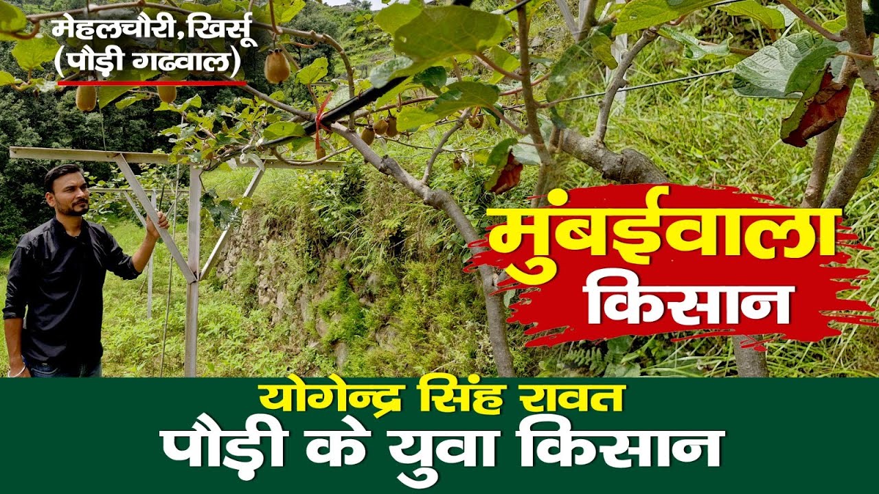 Visit Paudi।किवी का बाजार बनता पौड़ी।योगेन्द्र सिंह रावत।