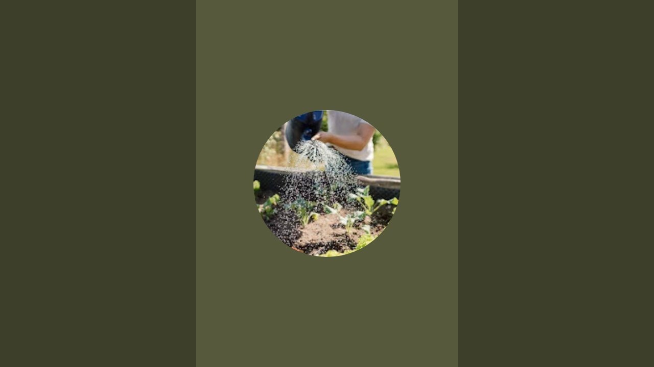 Creative gardening By Uarwashi  is live। radhe Krishna