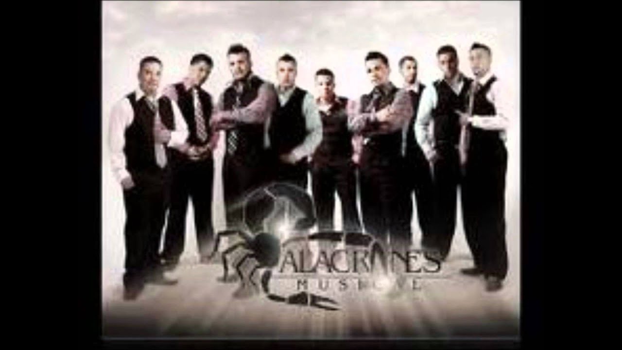 Los 500 Novillos-Alacranes Musical