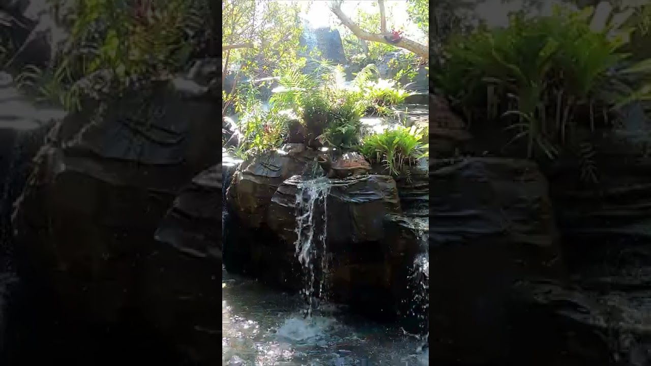 Beautiful Visuals - Sakon Nakhon, #Thailand - #Relaxing Sound #Waterfall #Ambience #Short No.3