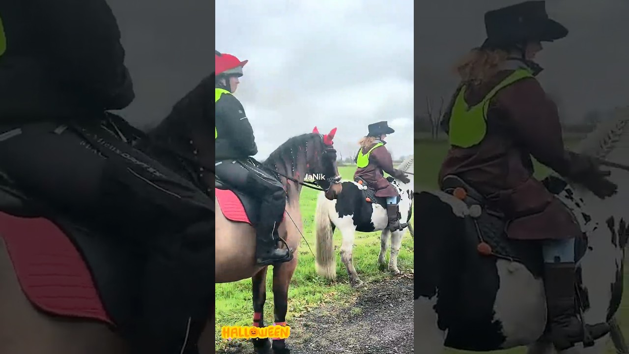 Pumpkin picking in the UK 🎃