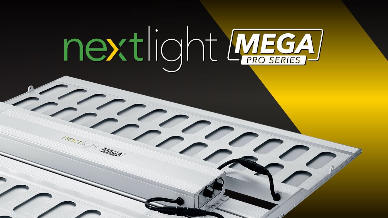 NextLight Mega Pro Spotlight