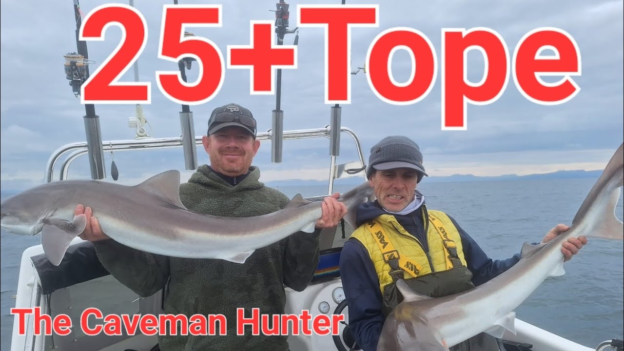 Small Boat Fishing 25+Tope What A Day Sea Fishing North Wales