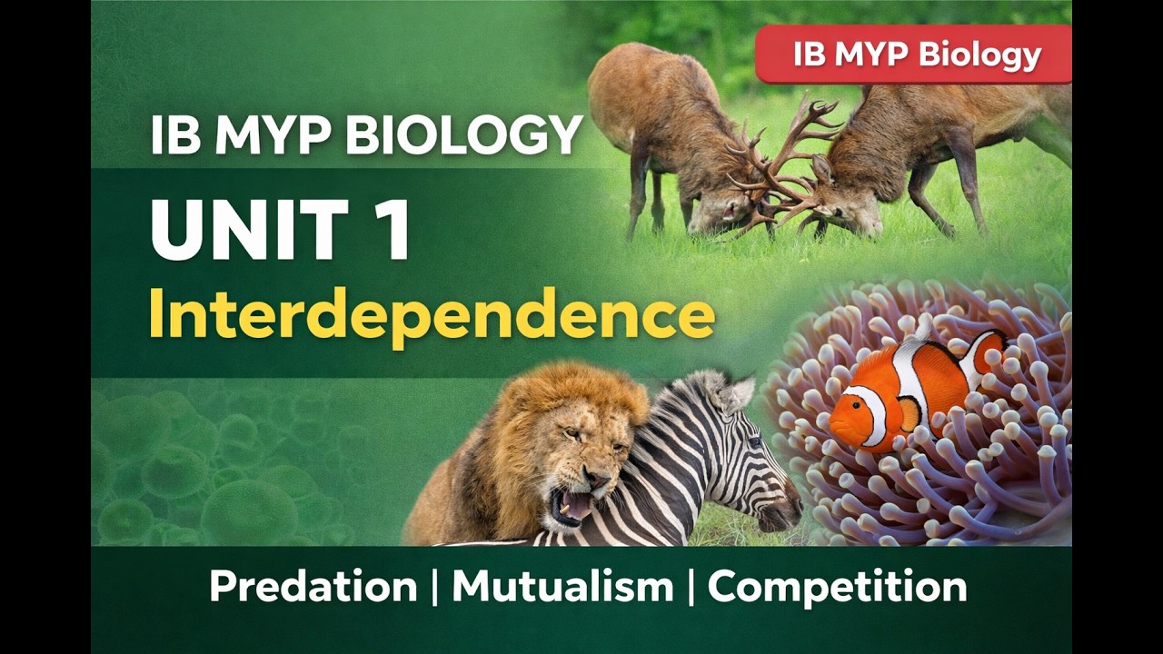 UNIT 1 Interdependence ;Interaction part