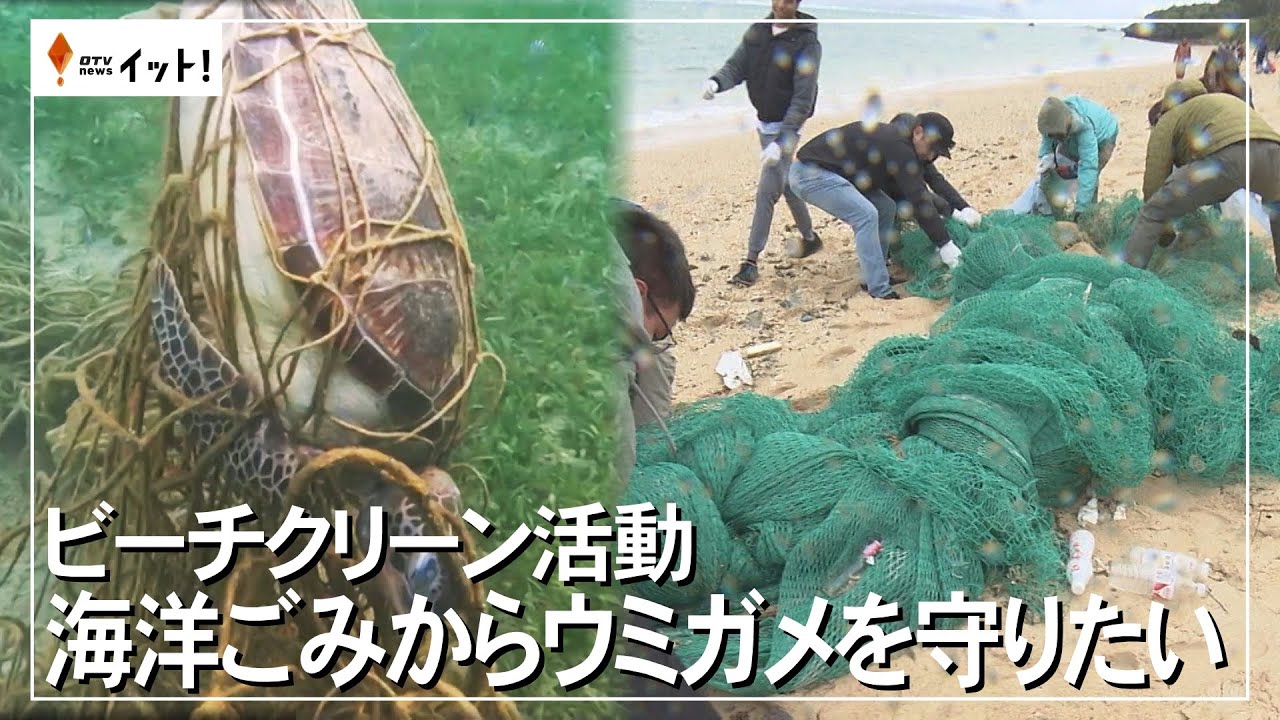 ビーチクリーン活動　海洋ごみからウミガメを守りたい（沖縄テレビ）2025/2/18