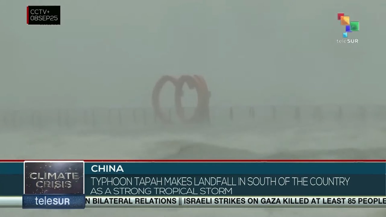 China: Heavy rain and wind hit Hong Kong as tropical storm Tapah affects mainland country