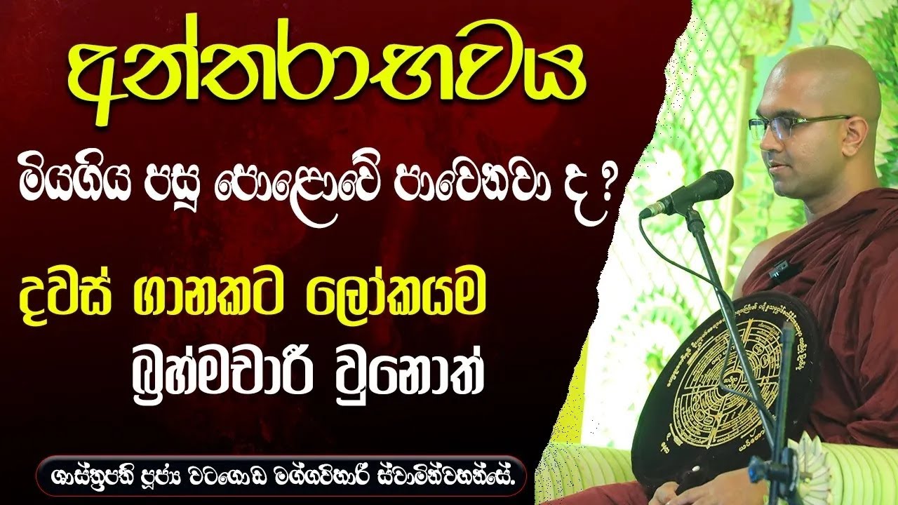 අන්තරාභවය මියගිය පසු පොළොවේ පවෙනවා ද ? | පූජ්‍ය වටගොඩ මග්ගවිහාරී ස්වාමින්වහන්සේ