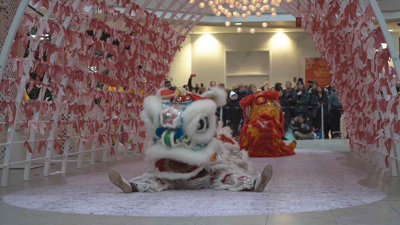 latyip LED lion dance @ STC Chinese New Year 2019 Toronto