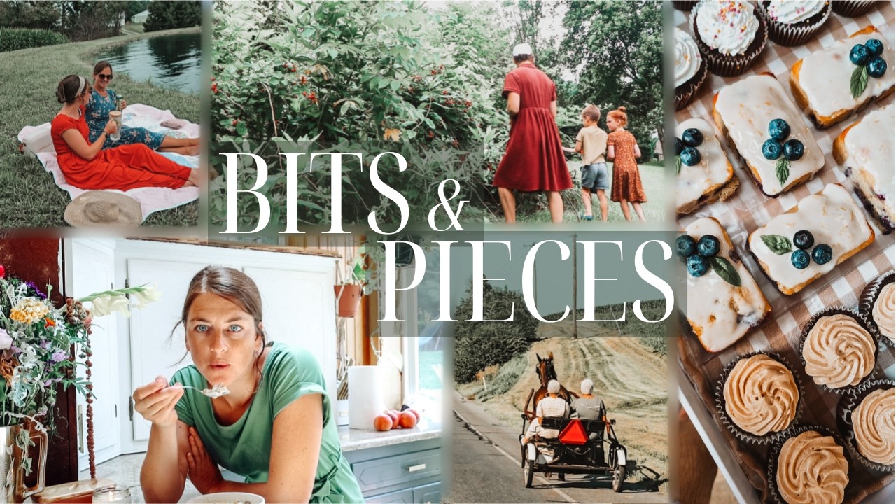 BITS of my life while my home is in PIECES: thrifting, farm life, modest fashion, kitchen update