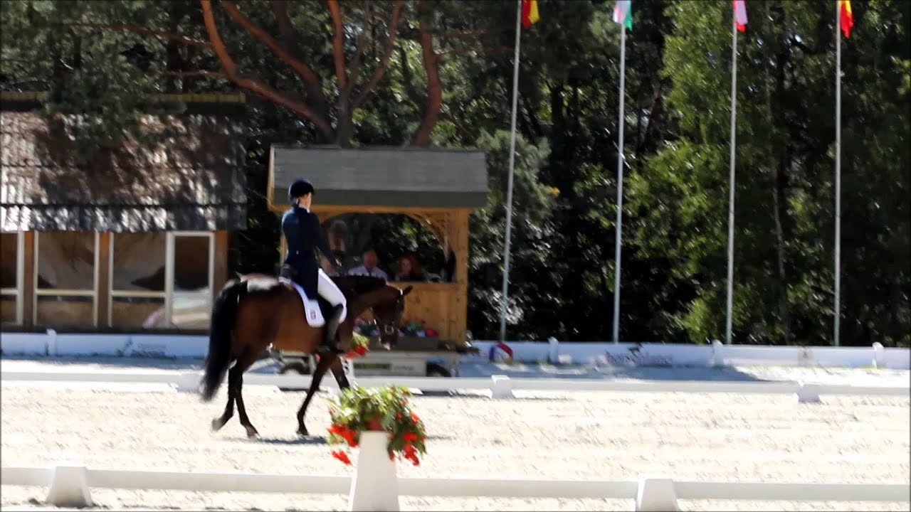 Małgorzata Cybulska na Sir Scotty, ujeżdżenie Mistrzostwa Europy Junior&oacute;w wkkw, Biały B&oacute;r 2015