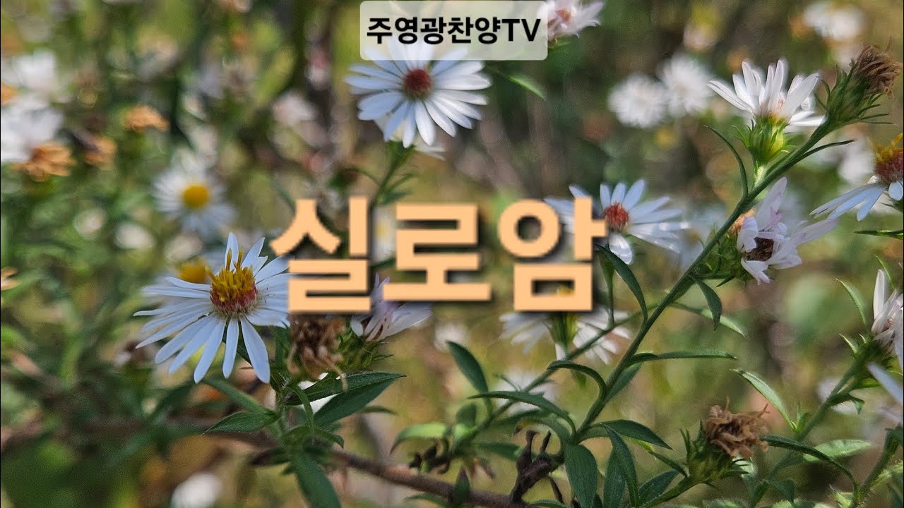 [주영광찬양TV]#실로암