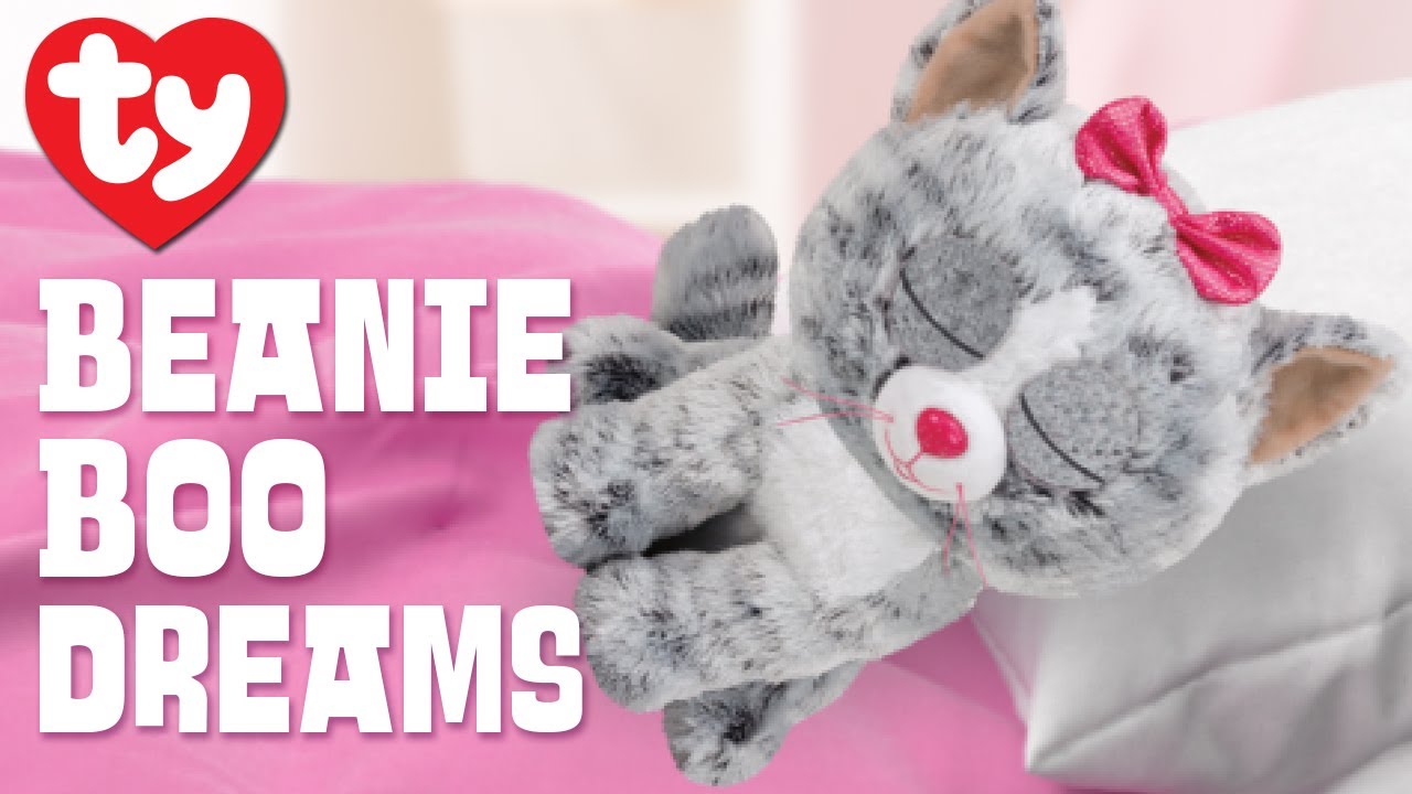 Beanie Boo Dreams