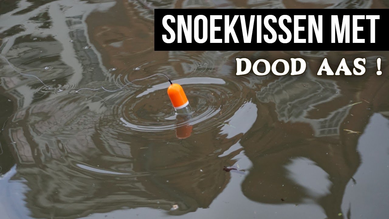 Vissen met DOOD AAS op Snoek ! DEEL 1 - DWFishingteam