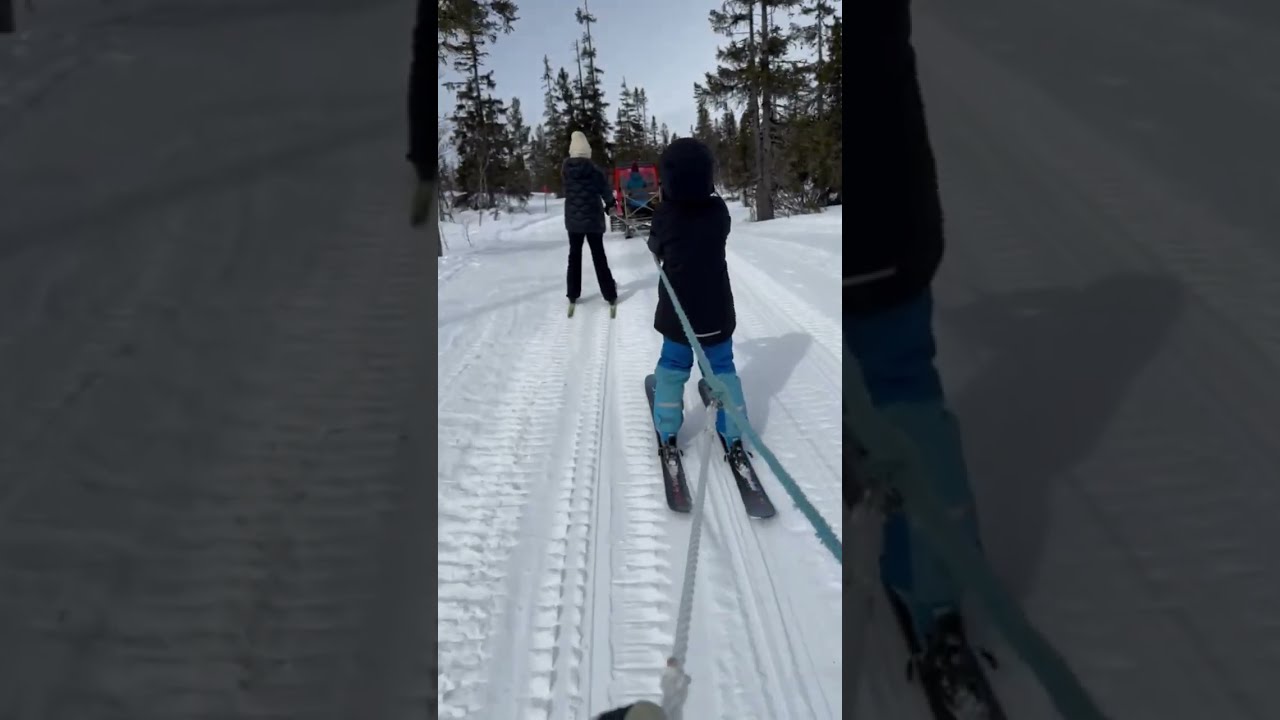 Eltoni Falkoni in Vemdalen