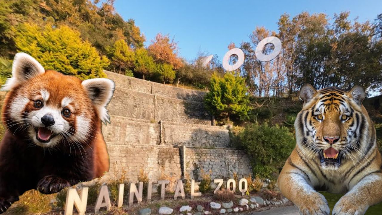 Uttrakhand Nainital zoo Chidiya ghar Itna Bada Bagh 😧