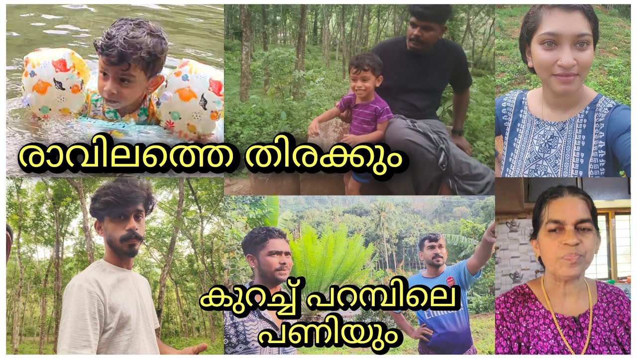 രാവിലത്തെ തിരക്കും ..... പറമ്പിലെ പണിയും