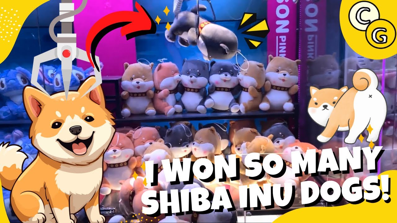 I WON SO MANY SHIBA INU DOGS FROM THE CLAW MACHINE IN THE PHILIPPINES! | Claw Gamer