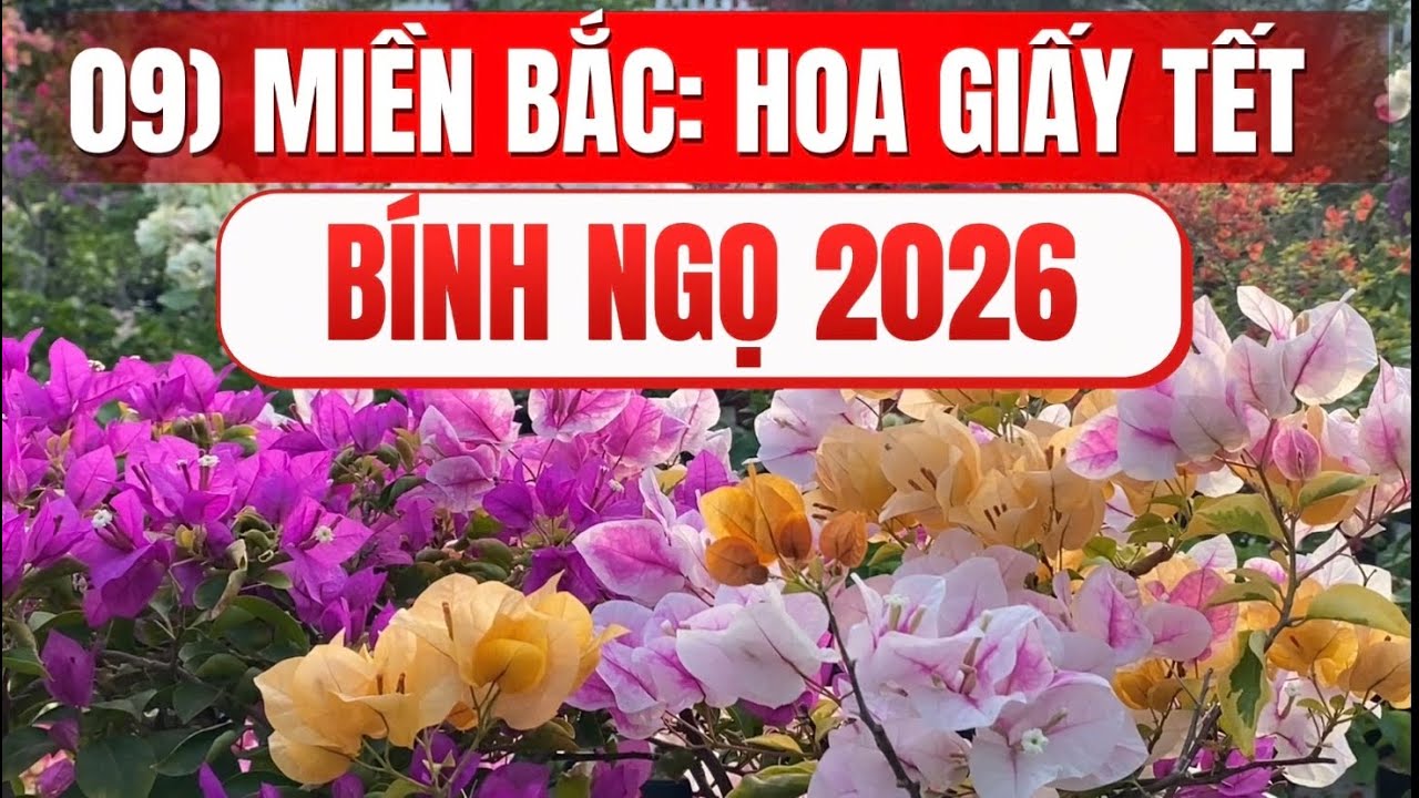 09) Северный Вьетнам: Бумажные цветы для праздника Тет Бинь Нго 2026.