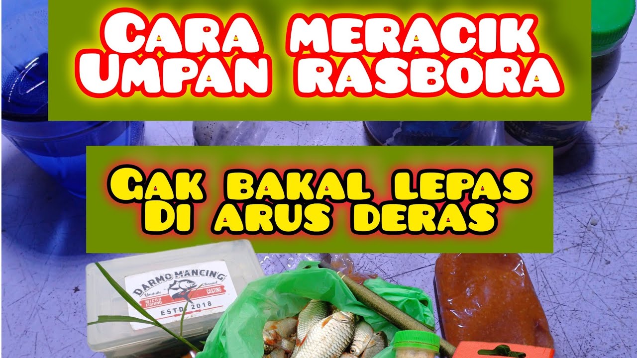 CARA MERACIK UMPAN RASBORA UNTUK ARUS DERAS #umpanrasbora #umpanjitu