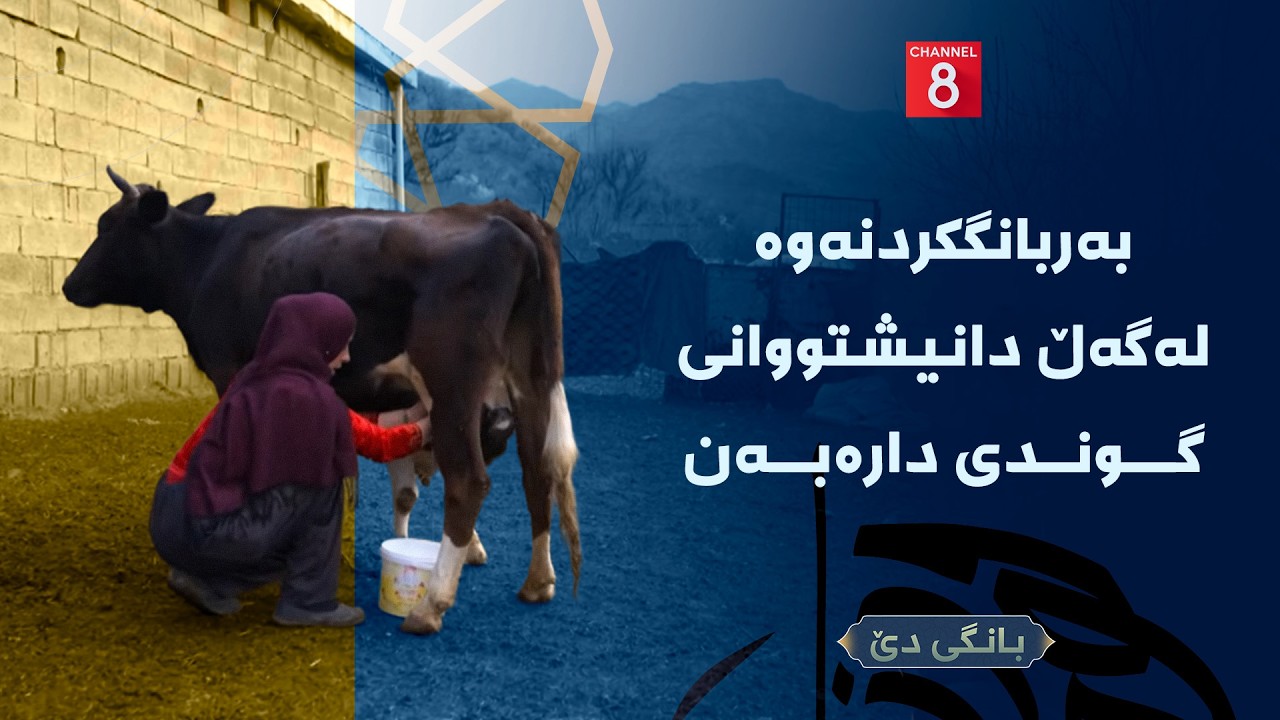 بانگی دێ - بەربانگکردنەوە لەگەڵ دانیشتووانی گوندی دارەبەن