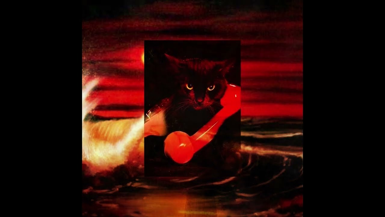 Black Cat Energy & Magnetic Manifestation Guided Meditation