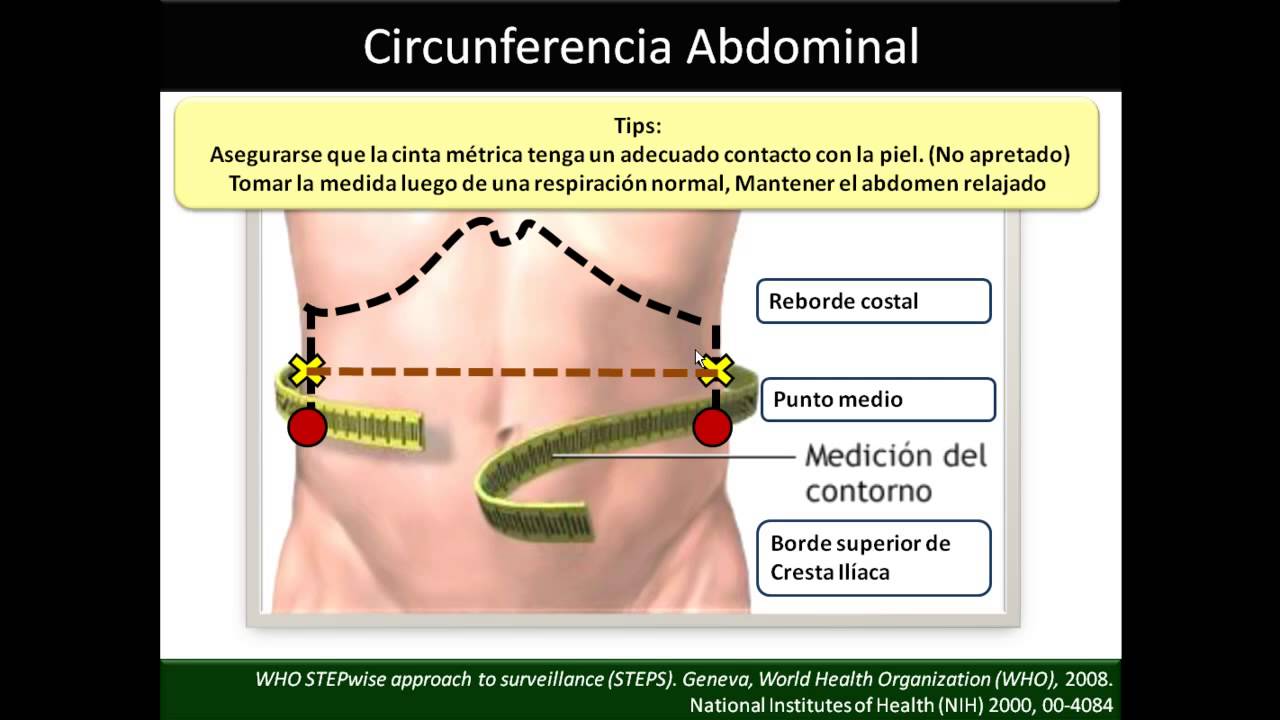 Circunferencia Abdominal y Cadera 📏