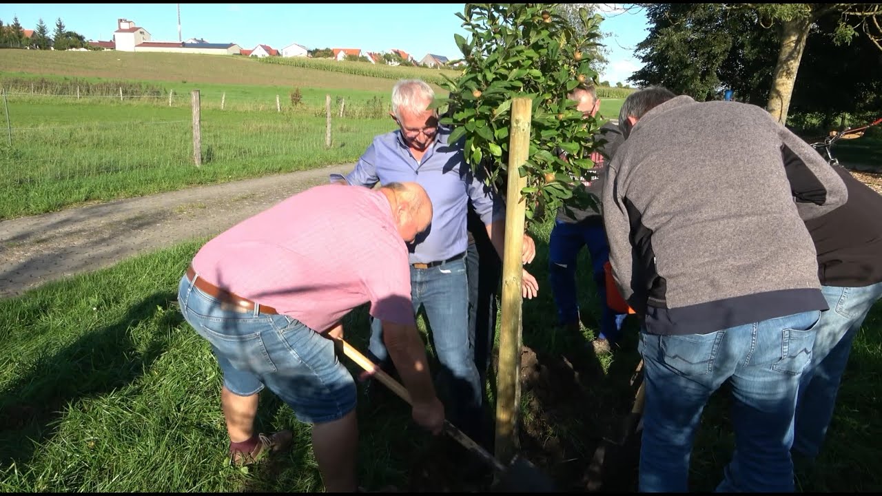 Baumpflanzchallenge Gemeinderat Geslau