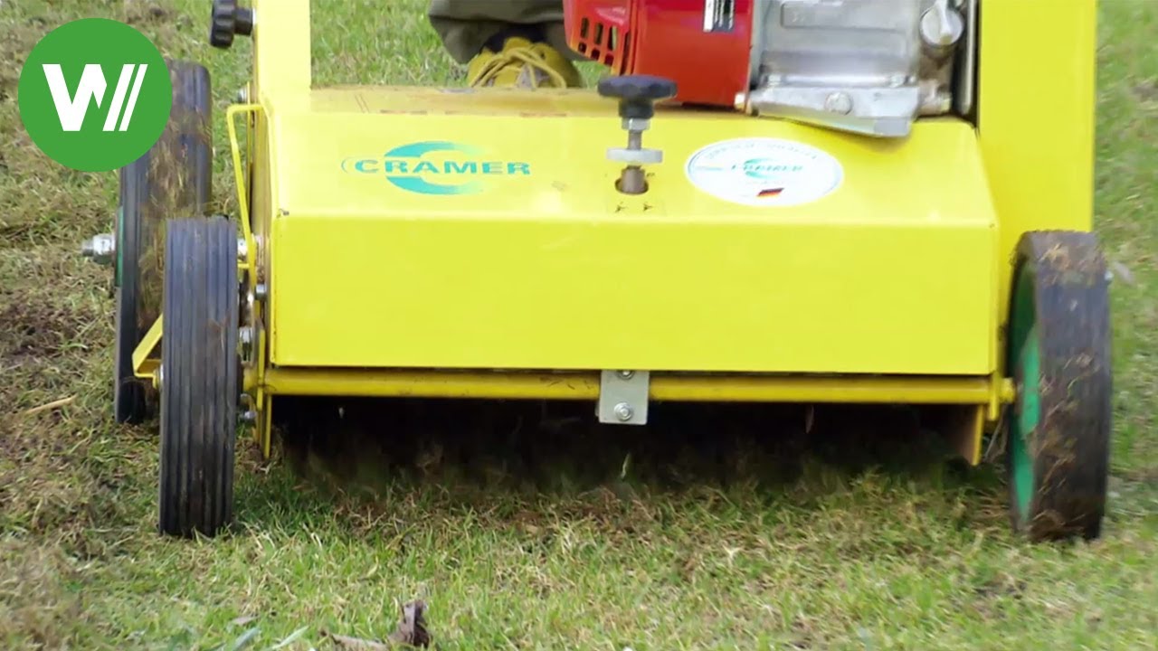 Vertikutieren - so macht es der Fachmann!