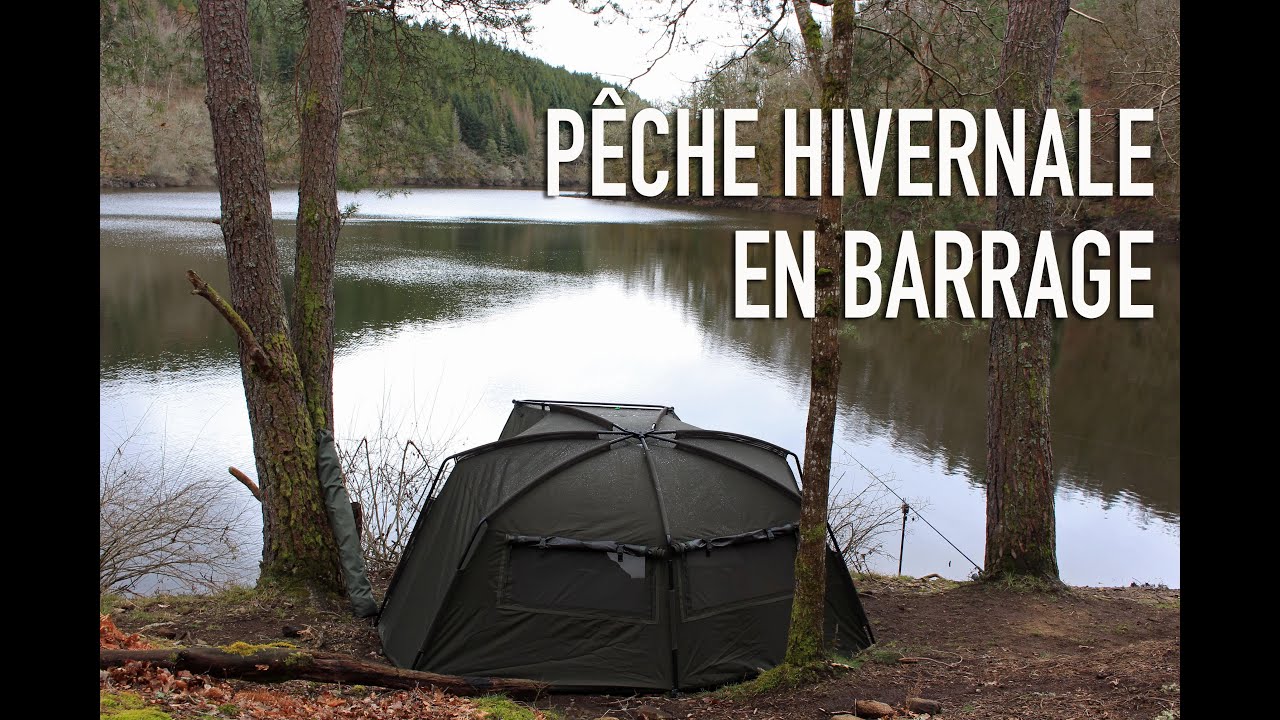 Pêche de la carpe en barrage sauvage