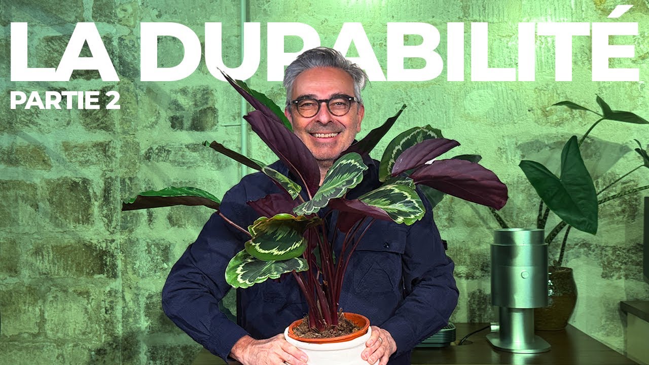 🌱 La Durabilité :  Créer des liens durables, c’est aussi ça notre métier.