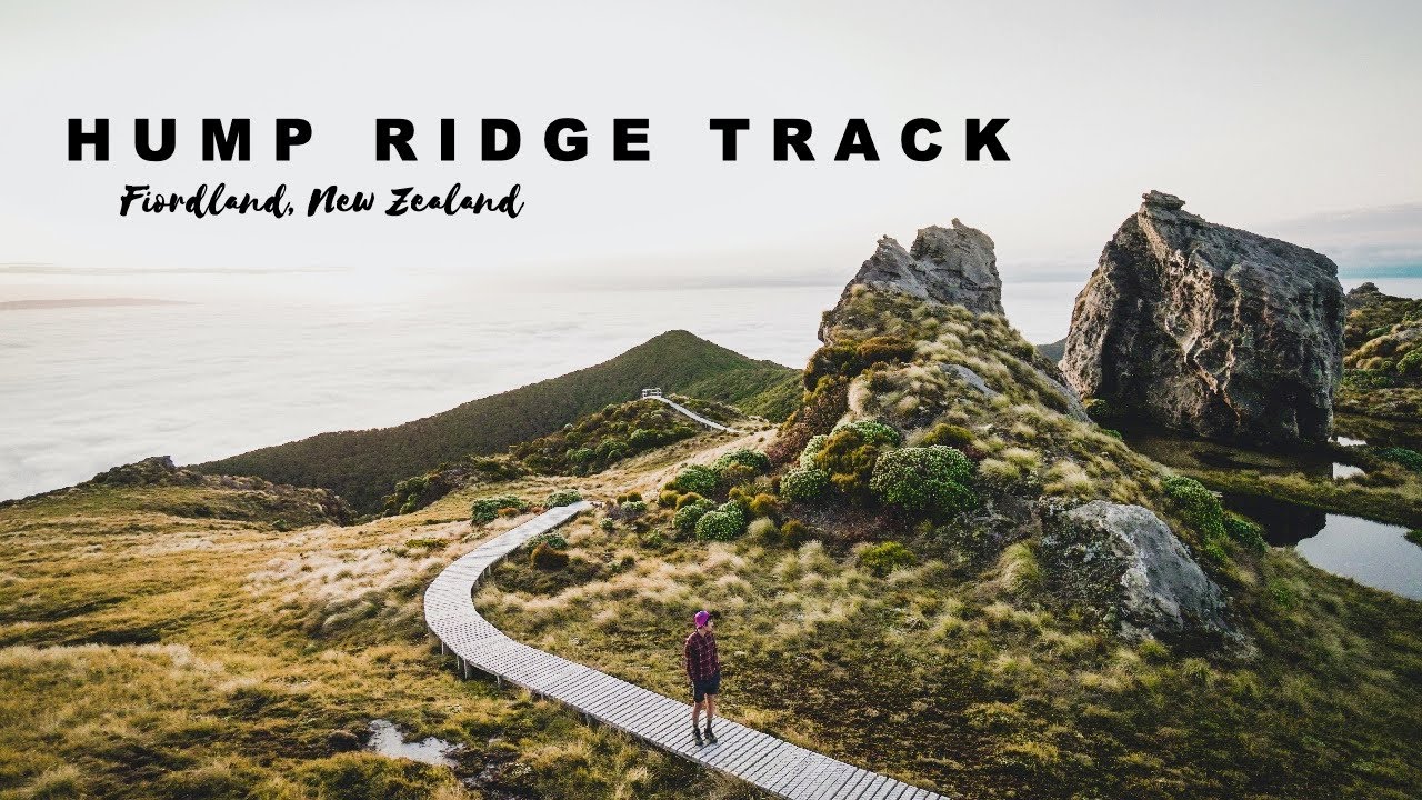 HUMP RIDGE TRACK | FIORDLAND, NZ